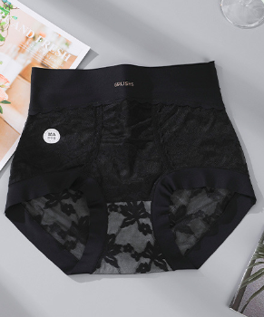 Vintage Floral Lace High Waist Boyshort Underwear, Semi-Sheer Mesh Intimates