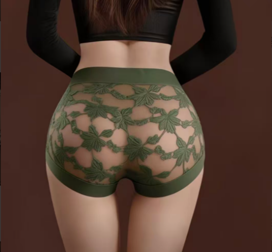 Vintage Floral Lace High Waist Boyshort Underwear, Semi-Sheer Mesh Intimates